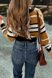 Stripe Contrast Stripes V Neck Textured Knit Sweater