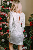 Sequin Long Sleeve Tie Waist Mini Dress